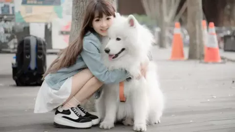 老兵伤残与复健故事